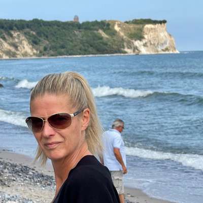 Hundetreffen-Boxer Treffen