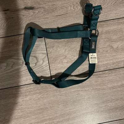 Hundezubehör-Beitrag-Bild