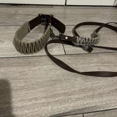 Hundezubehör-Beitrag-Bild