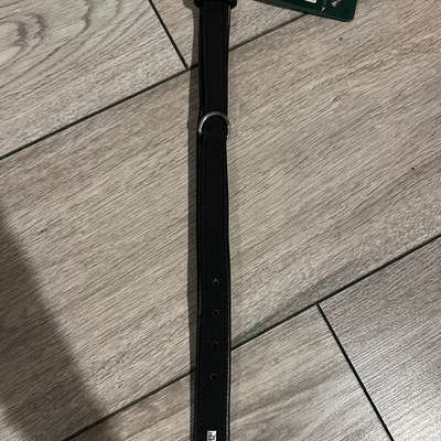 Hundezubehör-Beitrag-Bild