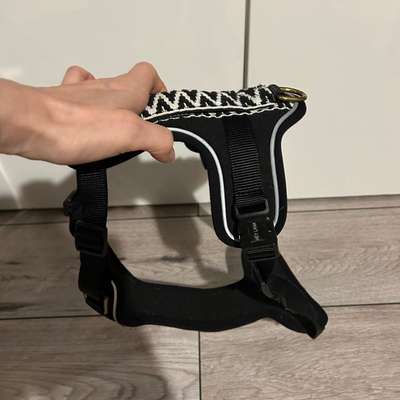 Hundezubehör-Beitrag-Bild