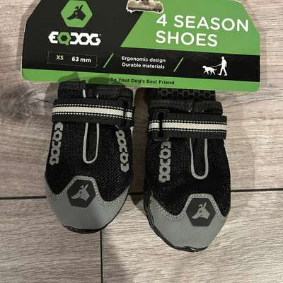 Hundezubehör-Beitrag-Bild