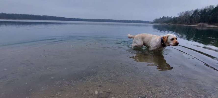Dogorama-Monats-Challenge-Mai "Wasser"-Beitrag-Bild