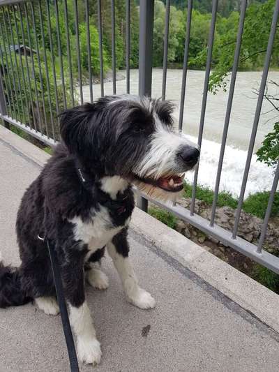 Gibts hier Mioritic Besitzer?-Beitrag-Bild