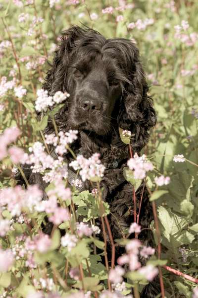 Fotochallange Nr. 57     PORTRÄT.   Beendet!!!!!!!!-Beitrag-Bild