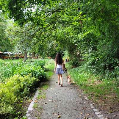 Hundetreffen-Hundefreund*in für Yuna-Bild