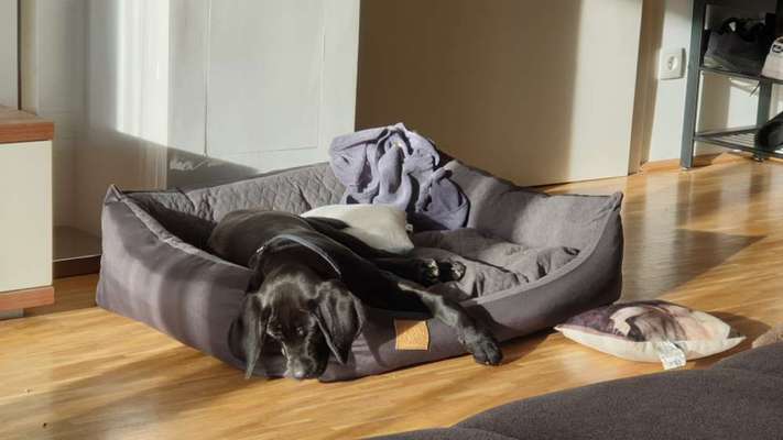 Wo sind denn hier die Broholmer?-Beitrag-Bild