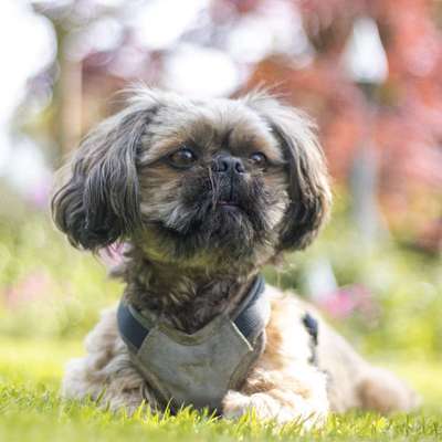 %{de_profession_title}-Paket 3-Bild