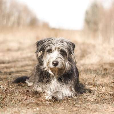 %{de_profession_title}-Paket 2-Bild