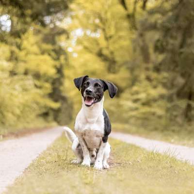 %{de_profession_title}-Paket 1-Bild