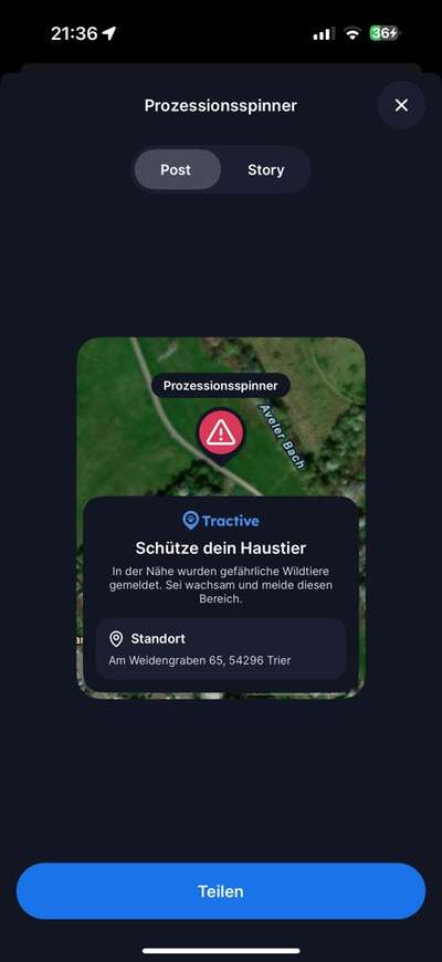 Giftköder-Achtung ! Prozessionsspinner-Bild