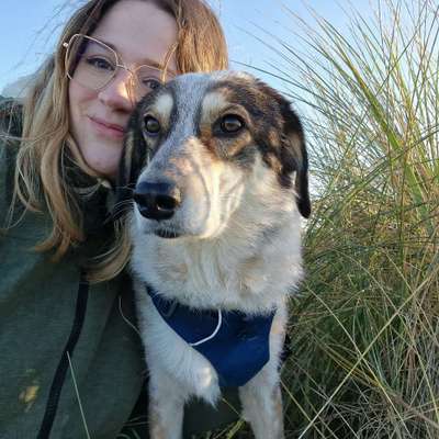 Hundetreffen-Gemütliche Gassifreunde gesucht 🐾
