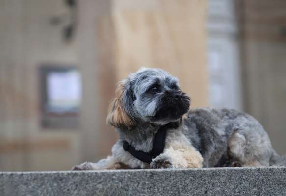 Lieblingsbild-Beitrag-Bild