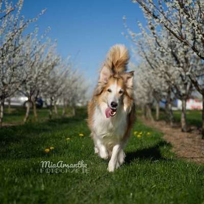 Giftköder-"Komm zu mir" - Der Perfekte Abruf-Bild