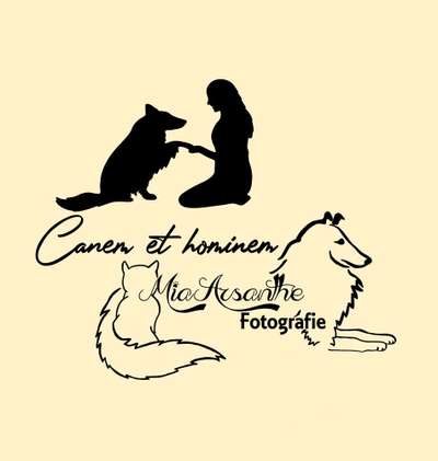 Hundeschulen-Canem et hominem -Bild