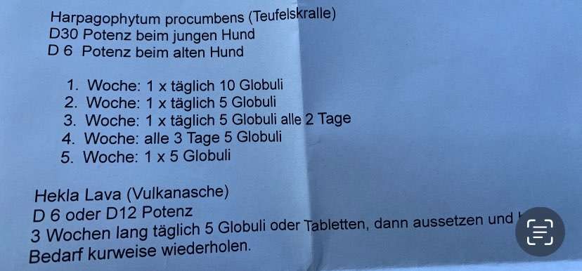 Windhunde - Treffen der besonderen Schönheiten
HERZLICH WILLKOMMEN-Beitrag-Bild