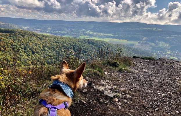 Fotochallenge Nr.100 Urlaubsimpressionen-Beitrag-Bild