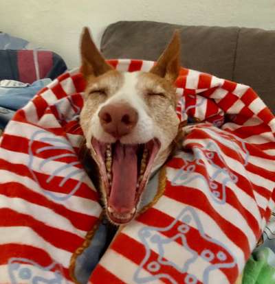 Handy-foto Challange nr. 11-Beitrag-Bild