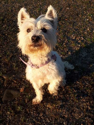 Doppelgänger gesucht !-Beitrag-Bild