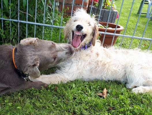 Handy-foto Challange nr. 11-Beitrag-Bild