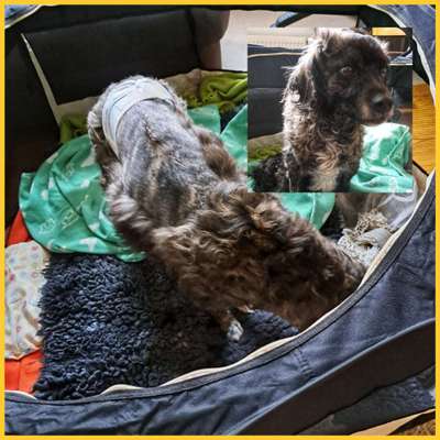 Bandscheibenvorfall OP-Beitrag-Bild