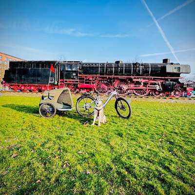 E-Bike Fahrradanhänger-Beitrag-Bild