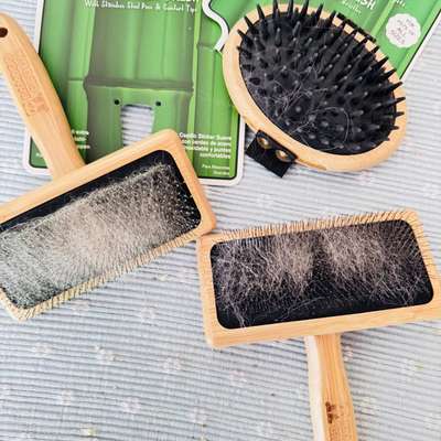 Haare aus der Zupfbürste entfernen-Beitrag-Bild