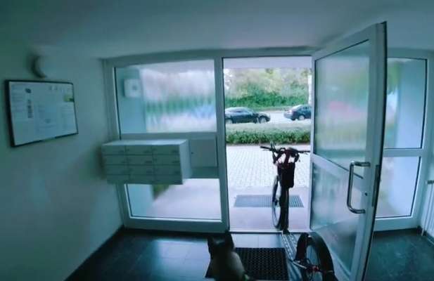 Tretroller Alternative zu Fahrrad?-Beitrag-Bild