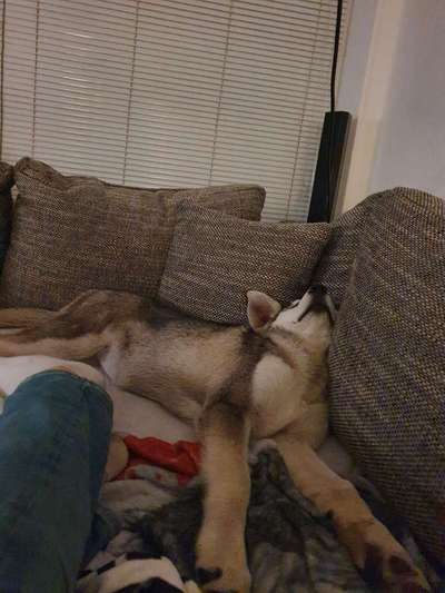 Die unbequemsten und lustigsten Schlafpositionen-Beitrag-Bild