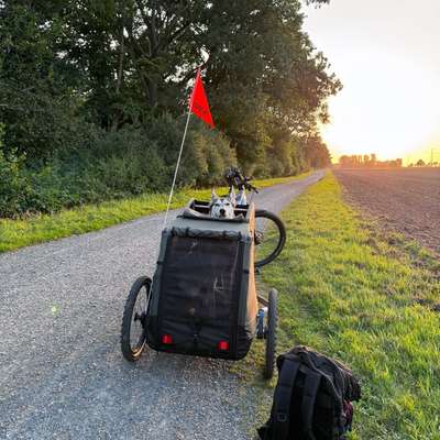 E-Bike Fahrradanhänger-Beitrag-Bild