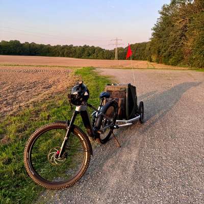 E-Bike Fahrradanhänger-Beitrag-Bild