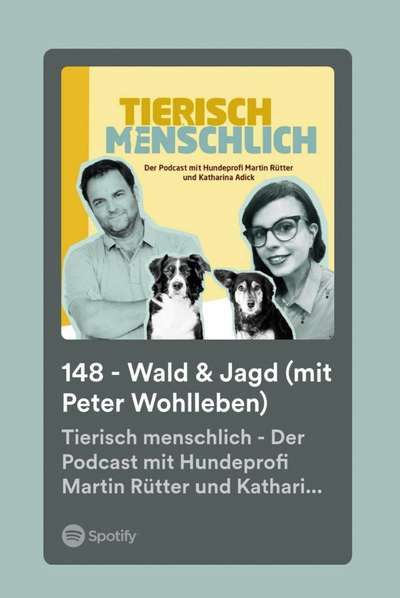 Ist Treibjagd noch zeitgemäß und mit "Hundeliebe" vereinbar?-Beitrag-Bild