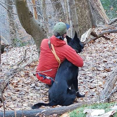 Hundetreffen-Trainings-/Social Walk-Bild