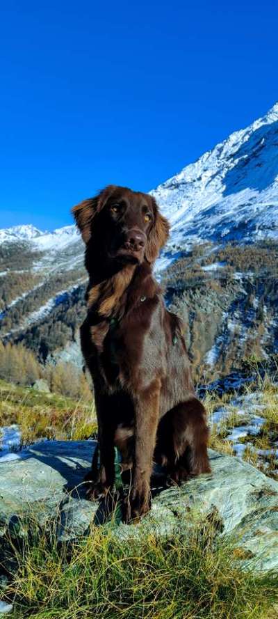 Ist das ein...?-Beitrag-Bild