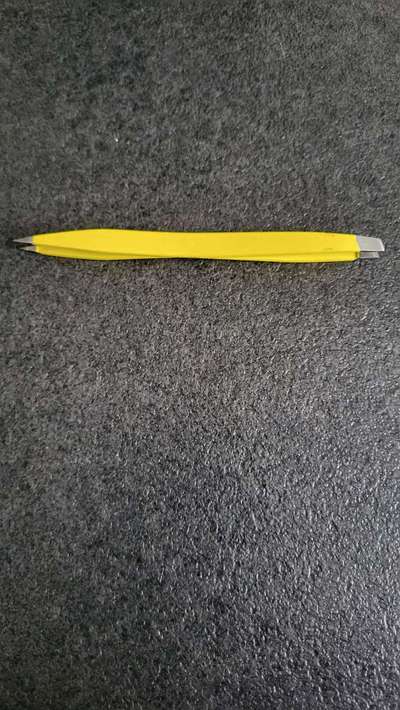 Empfehlung für eine Zeckenzange/ Zeckenentfernungstool-Beitrag-Bild