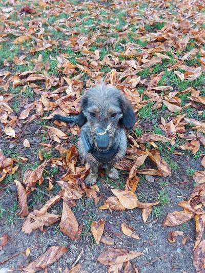 Herbst Bilder-Beitrag-Bild