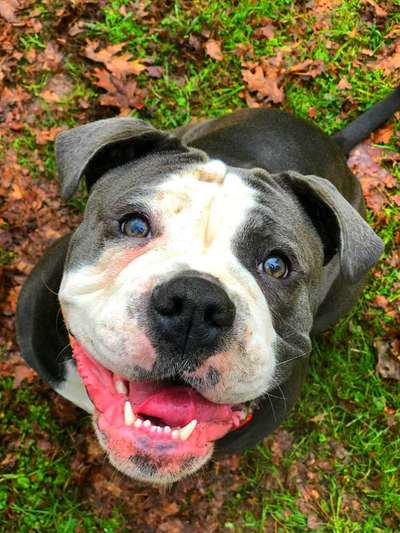 Fotochallenge Nr. 62 Romantische Momente-Beitrag-Bild