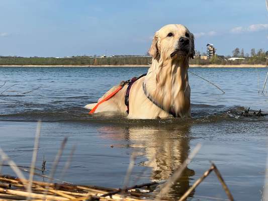 Foto Challenge Nr.133-Beitrag-Bild