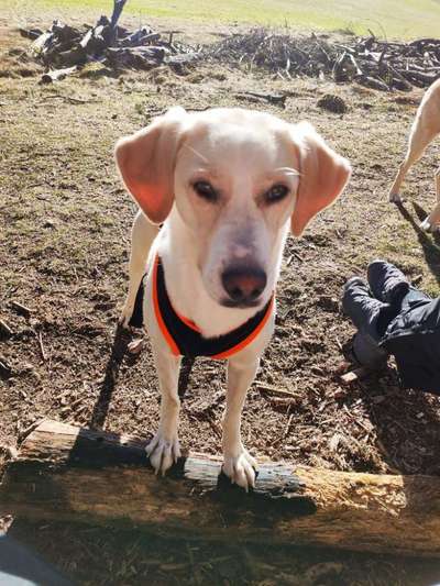 Fotochallenge No. 26                                     Wald und Wiese-Beitrag-Bild