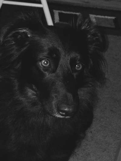 Foto-Challenge 76: Foto in Schwarz-Weiss-Beitrag-Bild