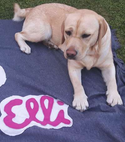 Nicht ganz alltägliche Hundenamen.
Wie kreativ wart ihr?-Beitrag-Bild