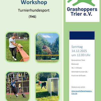 Hundetreffen-Turnierhundesport Workshop-Bild