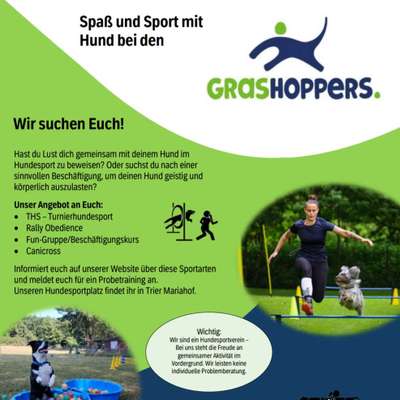 Hundetreffen-Gemeinsames Training-Bild