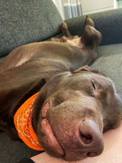 Lieblingsbild-Beitrag-Bild