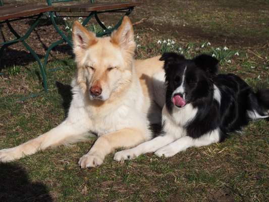 Fotochallenge 69-Beitrag-Bild