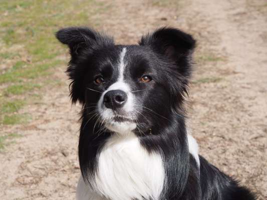 Lieblingsbild-Beitrag-Bild