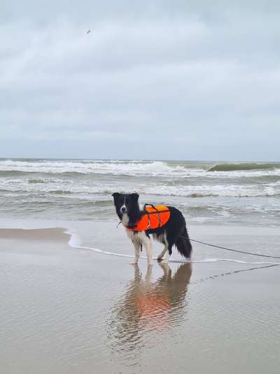 Eure Strandbilder :)-Beitrag-Bild