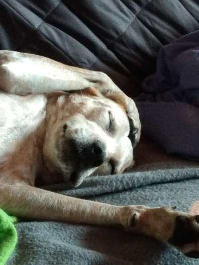 Die unbequemsten und lustigsten Schlafpositionen-Beitrag-Bild