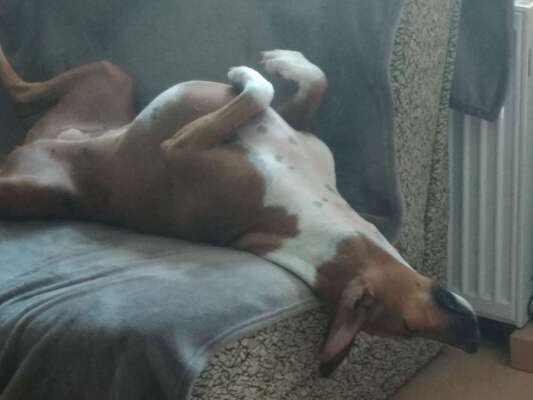 Die unbequemsten und lustigsten Schlafpositionen-Beitrag-Bild