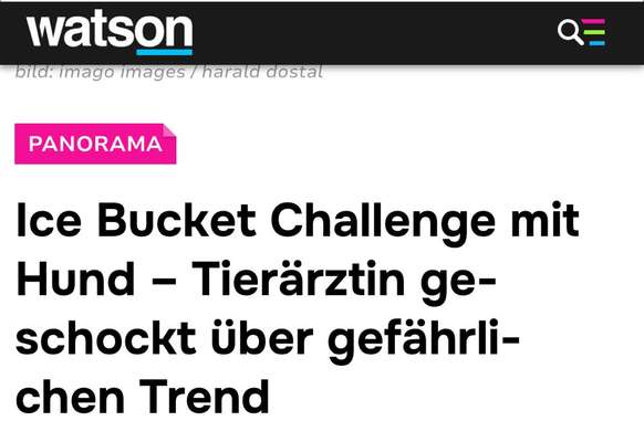 Ice-Bucket Challenge mit Hunden-Beitrag-Bild